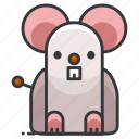 mouse, animal, animals, pet, rodent