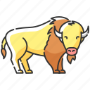 bison, bison icon, buffalo, bull