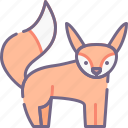 animal, fox