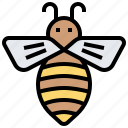 animal, apiary, bee, honey, insert