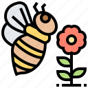 animal, apiary, bee, honey, insert