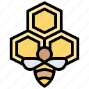 apiary, bee, beehive, hive, honeycomb