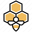 apiary, bee, beehive, hive, honeycomb