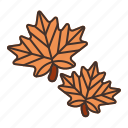 canada, leaf, maple, nature, autumn