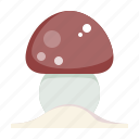 mushroom, autumn, fall, nature, plant