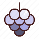 grape, harvest, fruit, autumn, fall