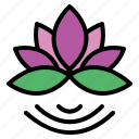 beauty, botanical, flower, lotus