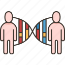 dna, matching, chromosome, genetic, analysis