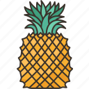 pineapple, fruit, fresh, food, tropical