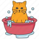 bath tub, hygiene, cat, bathing, pet, domestic