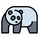 animal, bear, panda, wildlife, zoo