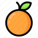 orange, fruit, fresh, juicy, healthy, orange fruit, chinese