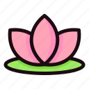 floral, flower, lotus, plant, blossom