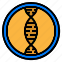 biology, dna, gene, genetic, science