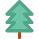 christmas tree, fir tree, forest, nature, pine, pine tree, tree