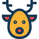 animal, antlers, deer, nose