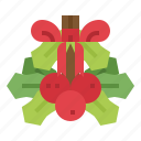 mistletoe, nature, decoration, christmas, xmas