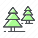 christmas, pine, tree