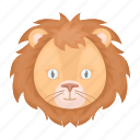 animal, head, lion, muzzle, predator, wild