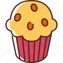 muffin, food, dessert, sweet, cake, cupcake, bakery