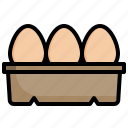 egg, eggs, animal, food