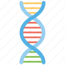 dna, dna helix, dna strand, genetics, molecule