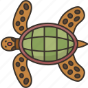 turtle, ocean, animal, aquarium, nature