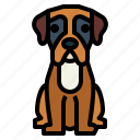 boxer, dog, pet, animals, breeds