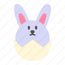 animal, bunny, easter, egg, pet, rabbit, shell