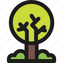 tree, ecology, enviroment, forest, green, nature, plant