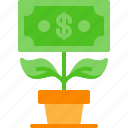 finance, growth, money, plant, profit