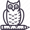 education, learning, owl, preschool, school, study