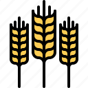 farm, farmer, garden, gardener, spike, wheat