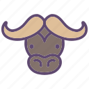 animal, buffalo, bull, cattle, farm, head