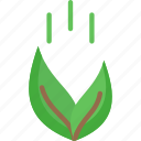 feed, feeding plant, go green, plant