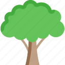 agriculture, farming, plant, tree, tree plantation