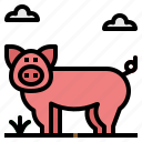 animal, farm, mammal, pig, pock