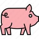 pig, pork, animal, farm, farming, livestock