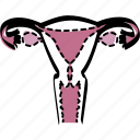 female, feminine, feminist, uterus, vagina, woman, womb