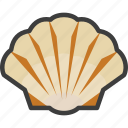 sea, seashell, shell, shellfish