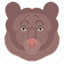 animal, bear, face, zoo