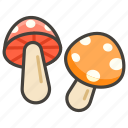 mushroom