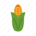 corn, food, healthy, maize, nutrition, ripe, vegetable