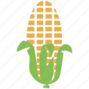 cob, corn, maize, food