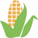 cob, corn, food, maize, vegetable