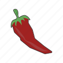 chili, pepper