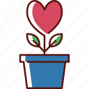 love, heart, valentine, romance, romantic, grow, plant