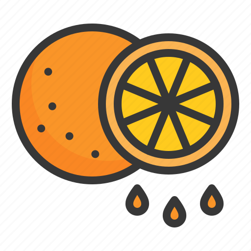 Food, fruit, healthy, orange, vitamin icon - Download on Iconfinder