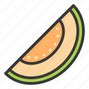 food, fruit, healthy, melon, melon slice, vitamin