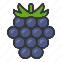 blackberry, food, fruit, healthy, vitamin